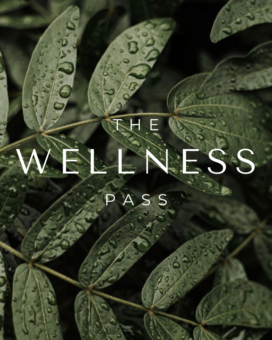 The Wellness Pass